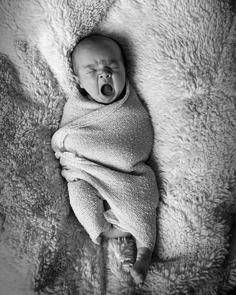 pittsford-ny-newborn-photography